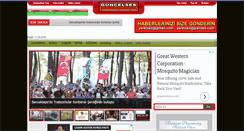 Desktop Screenshot of guncelses.net